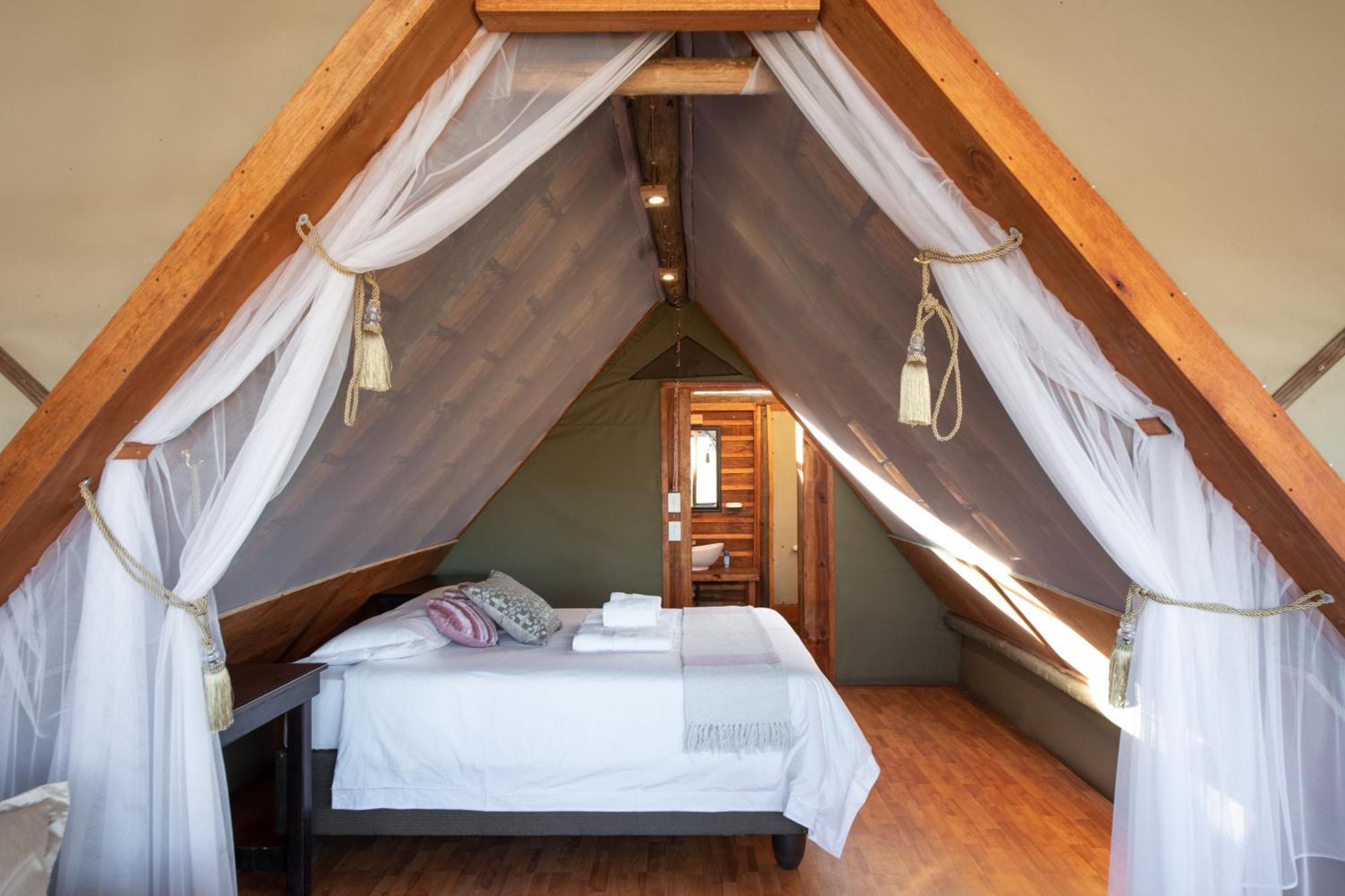 Buffelshoek Tented Camp Manyeleti Game Reserve Pokój zdjęcie