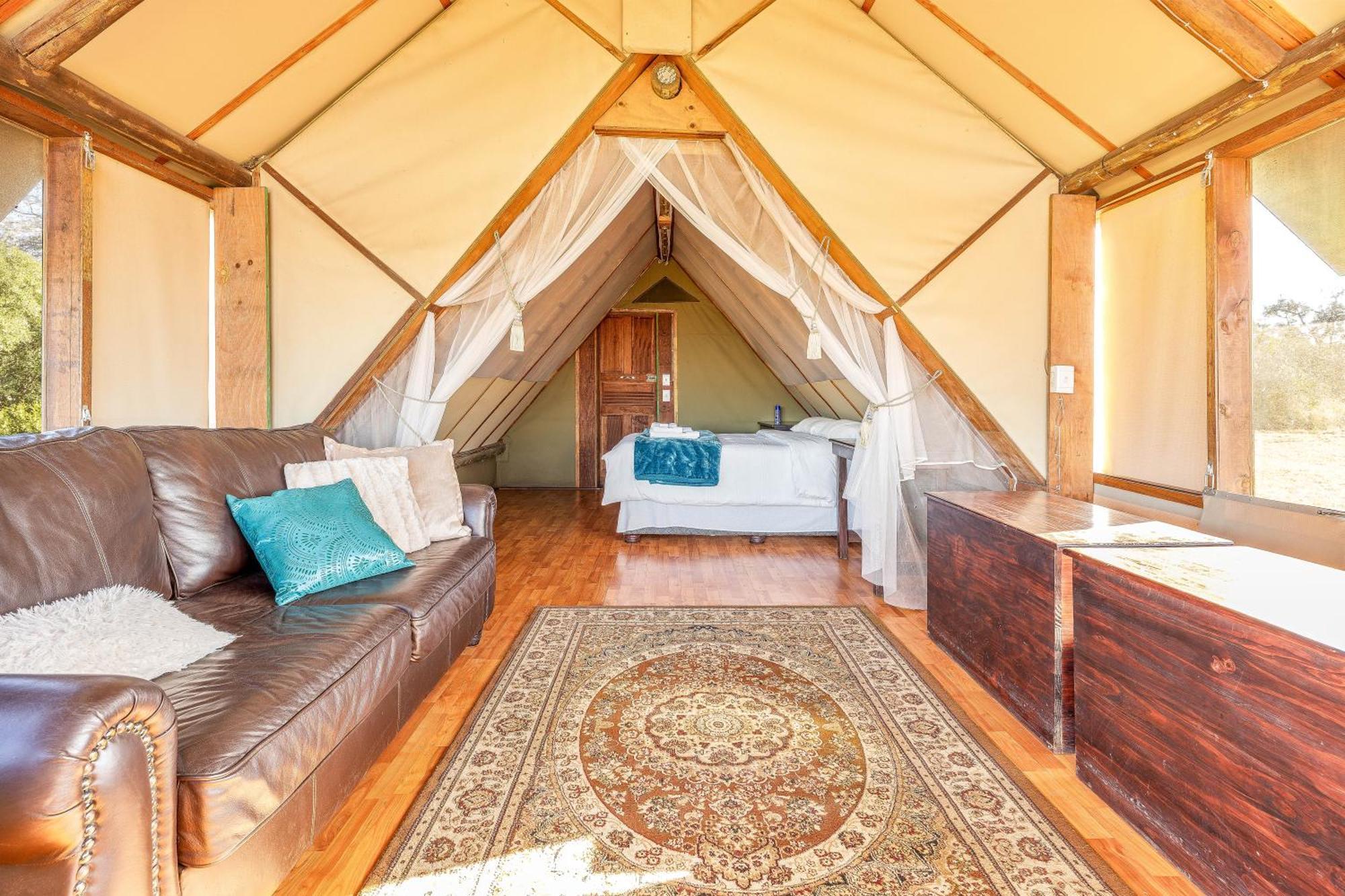 Buffelshoek Tented Camp Manyeleti Game Reserve Zewnętrze zdjęcie
