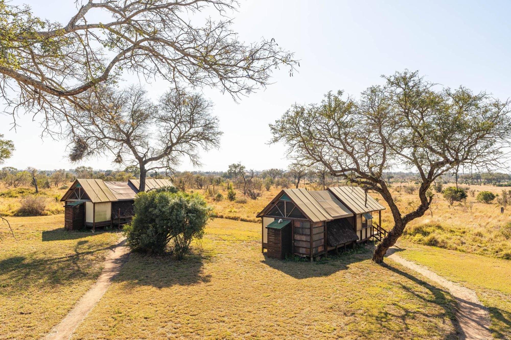 Buffelshoek Tented Camp Manyeleti Game Reserve Pokój zdjęcie