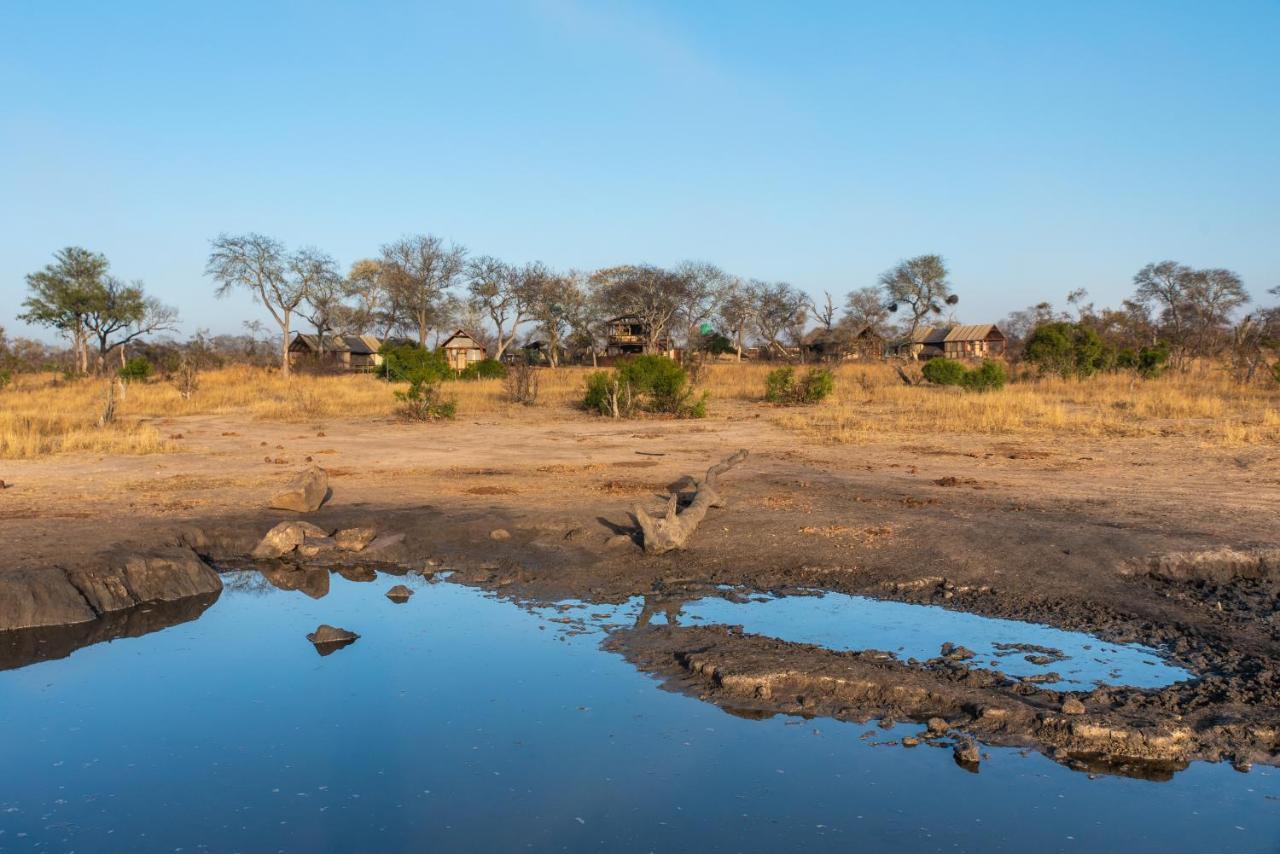 Buffelshoek Tented Camp Manyeleti Game Reserve Zewnętrze zdjęcie