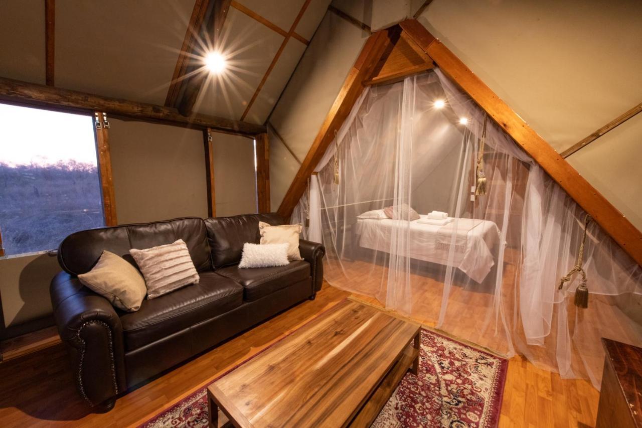 Buffelshoek Tented Camp Manyeleti Game Reserve Zewnętrze zdjęcie
