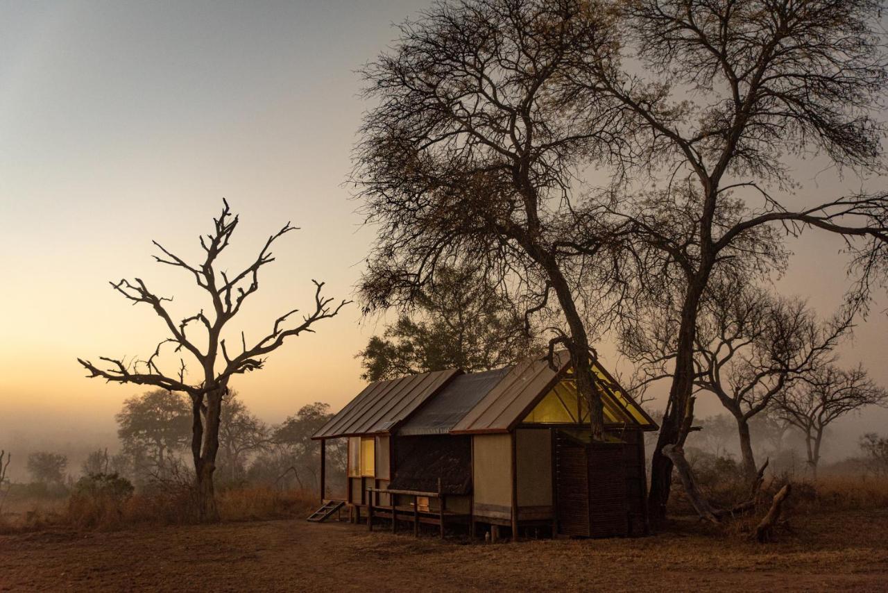 Buffelshoek Tented Camp Manyeleti Game Reserve Zewnętrze zdjęcie