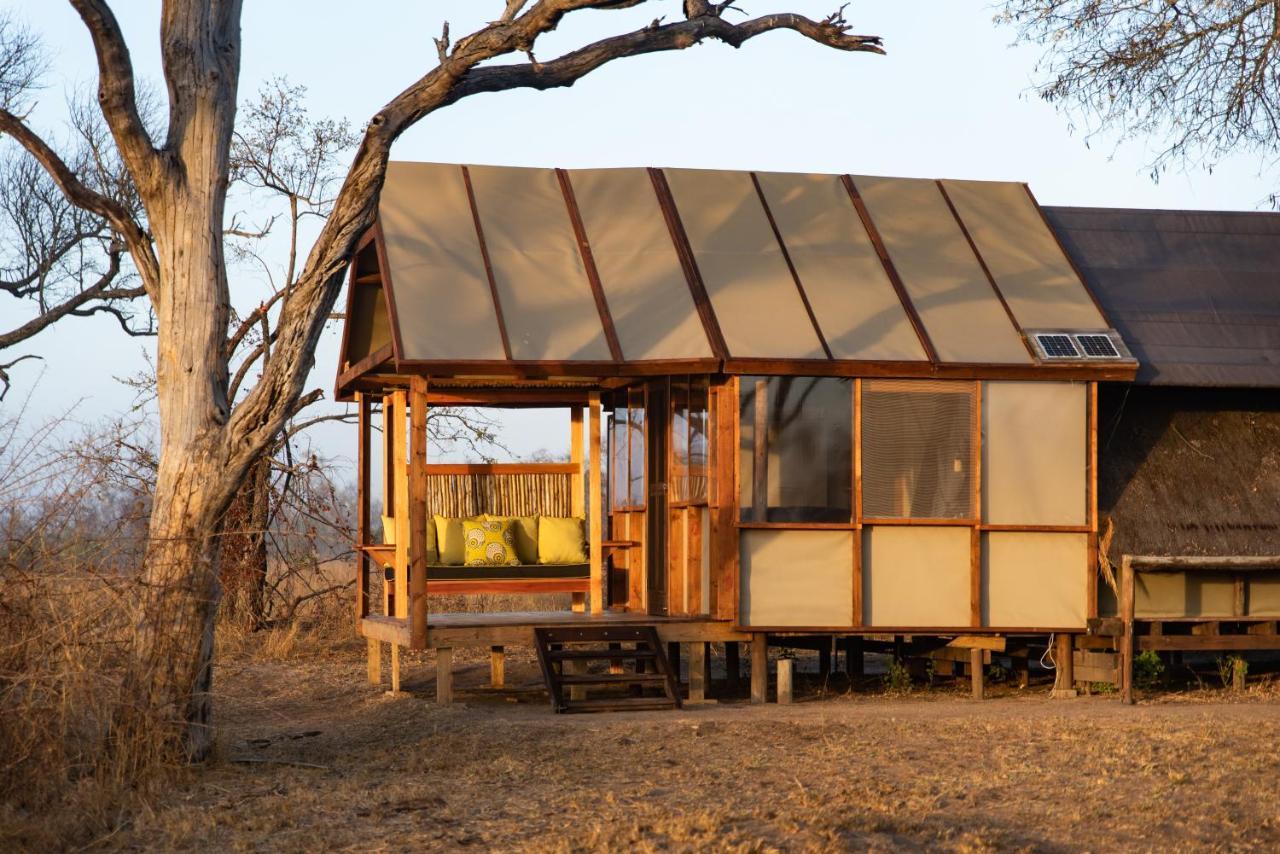 Buffelshoek Tented Camp Manyeleti Game Reserve Zewnętrze zdjęcie
